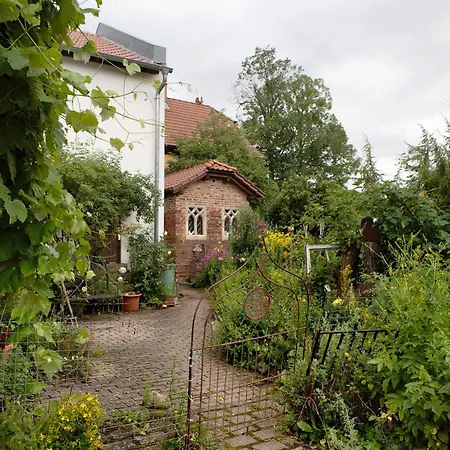 Ferienwohnung-cottage Rhoener Kraeute 別荘