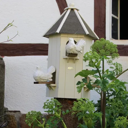 Ferienhaus Ferienwohnung-cottage Rhöner Kräute *