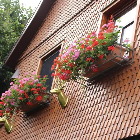Ferienwohnung-cottage Rhöner Kräute Buttlar