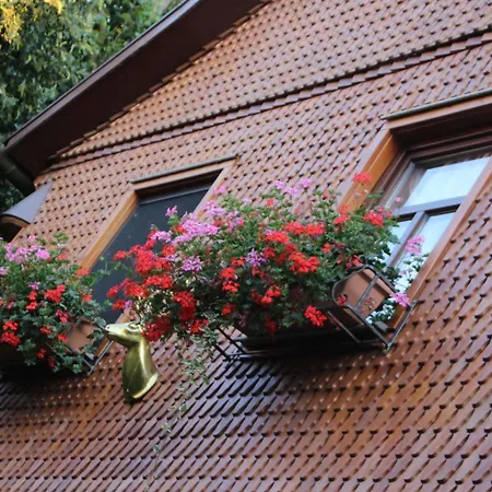 Ferienhaus Ferienwohnung-cottage Rhöner Kräute